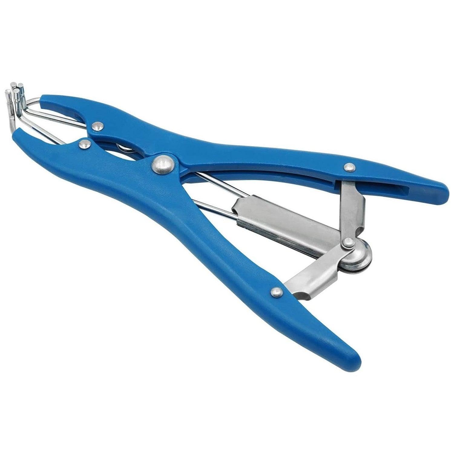 Buy now Livestock Castration Bander with 100 Pieces Castrator Rings for Lambs and Piglets at indiglob india