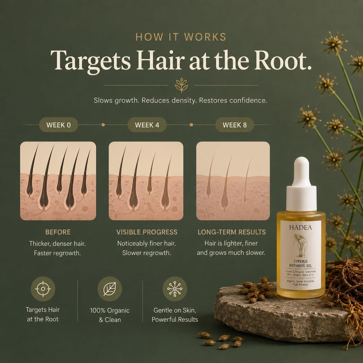 HADEA Cyperus Rotundus Oil to Reduce Hair Growth 100% Organic High-Potency Steam Distilled Cyprus Nutgrass Cypress Inhibitor | Cypress Rotundus Oil For Pcos, Hirsutism, Any Unwanted Hair 30ml