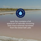 Buy now Trace Minerals Ionic Zinc 50 mg - Dietary Supplement with Zinc, Magnesium & Chloride - Support Healthy Digestion & Immune Function - ZInc for Skin & Brain Health - 2 fl oz (About 48 Servings) at indiglob india