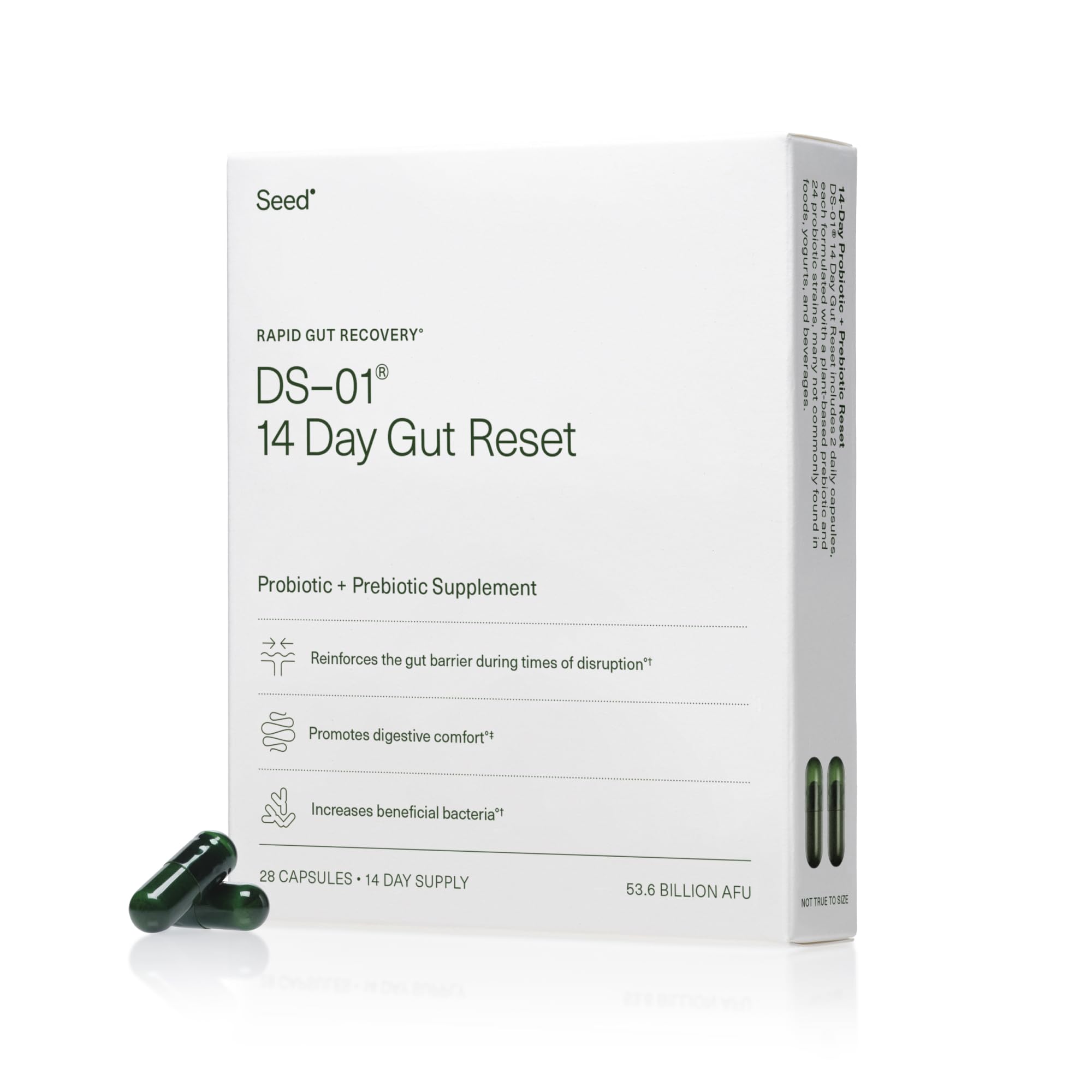 Seed 14 Day Gut Reset - for Adults - 14-Day Supply | 24-Strain Probiotic + Prebiotic - Rapid Gut Recovery - Reset After Travel, Stress, and Medications - Vegan Capsules