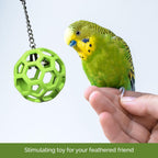 Buy now JW Pet Company Activitoys Hol-ee Roller Parrot Toy, 4 Inch Diameter (Colors Vary ) at indiglob india