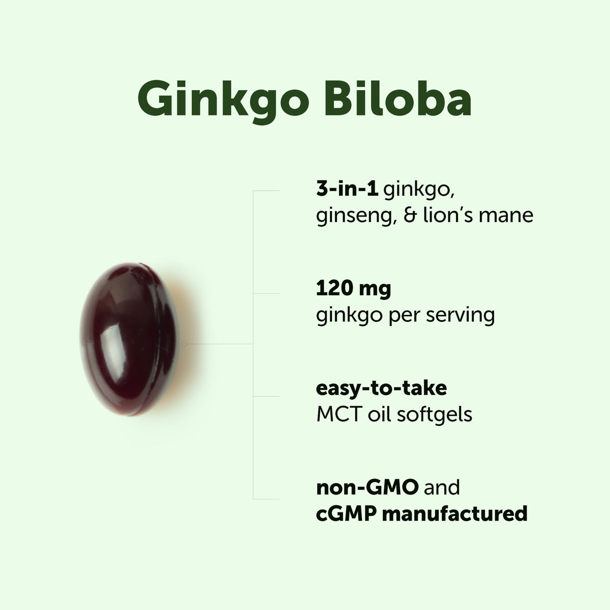 Micro Ingredients Ginkgo Biloba 120 mg Per Serving, 400 Softgels | 3-in-1 with Panax Ginseng & Lion’s Mane | Herbal Mushroom Blend | Made with MCT Oil | Non-GMO