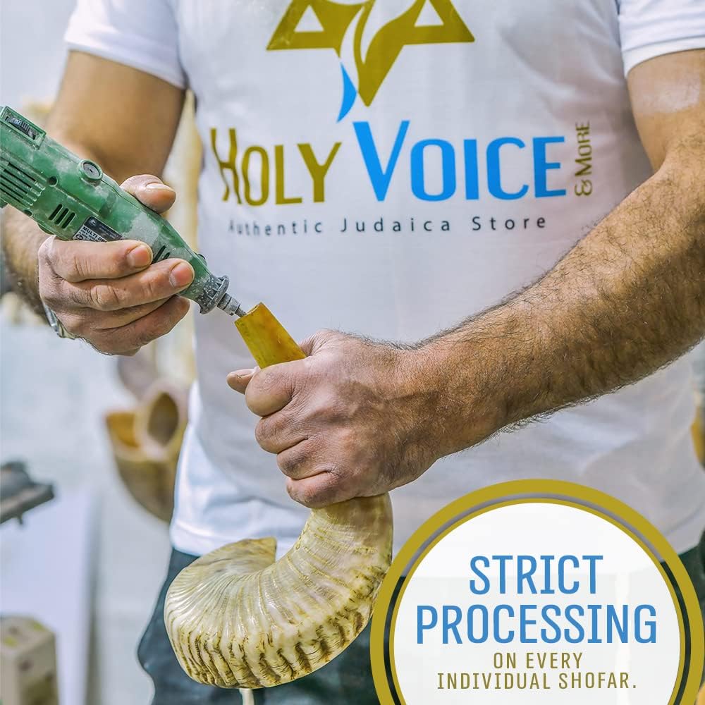 Buy now Holy Voice Kosher Ram Shofar Horn from Israel 12"-14" Traditional Half Polished, Holy Land Ancient Jewish Musical Instrument, Smooth Mouthpiece for Easy Blowing, Clear Sound Shofar at indiglob india