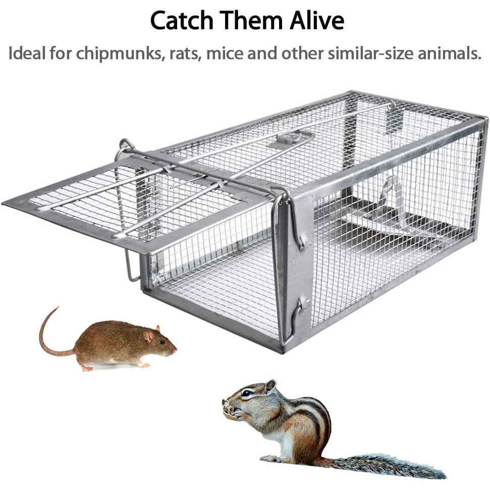 Buy now Gingbau Chipmunk Trap Humane Live Mouse Rat Cage Trap - Small at indiglob india