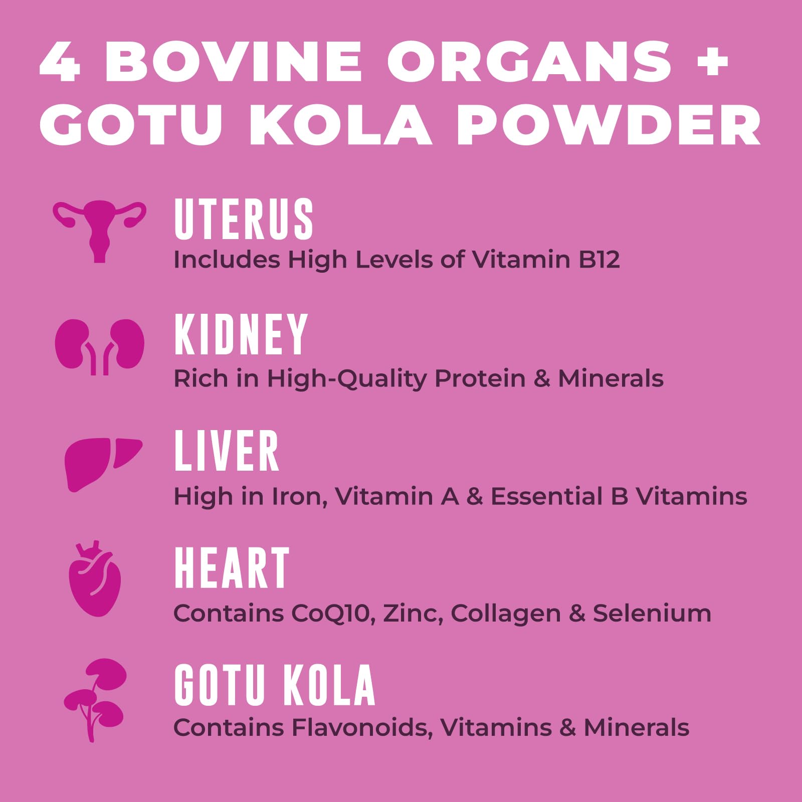 Left Coast Performance Beef Organ Supplement for Women, 120 Capsules | Beef Liver, Kidney, Heart and Uterus Tissue - Supports Women's Energy & Health - Grass Fed, Pasture Raised, 3rd Party Tested
