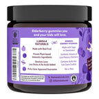 Llama Naturals Elderberry Gummies for Kids, Vegan, Organic Immune Support Supplement with Vitamin C and Zinc, Toddler Real Fruit Gummy Vitamins for Immunity, Chewable, No Added Sugar Cane, 60 Ct