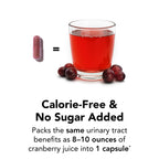 Theralogix TheraCran One Cranberry – UTI Prevention, NSF Certified | Helps prevent UTIs with 36mg of soluble proanthocyanidins (PACs) — the research-backed dose.*