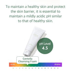 mixsoon Centella Cleansing Foam Face Wash with Cica, Low pH Cleansing and Soothing for Face, Hydrating Formula 150ml / 5.07 fl. oz. Korean Glass Skin Care