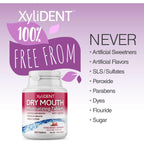 Buy now Nature's Stance XyliDENT Xylitol Tablets for Dry Mouth Relief - Stimulates Saliva, Freshens Breath, Reduces Acid Production, Fast Acting Extended Relief, 100 Count at indiglob india