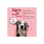 Heart Support Supplement for Dogs-Vet-Formulated, Antioxidant-Rich-L-Taurine, L-Carnitine,EPA,DHA,CoQ10-Aids Circulatory Strength, Cardiovascular Support, Heart Muscle Function-USA Made-60 Soft Chews