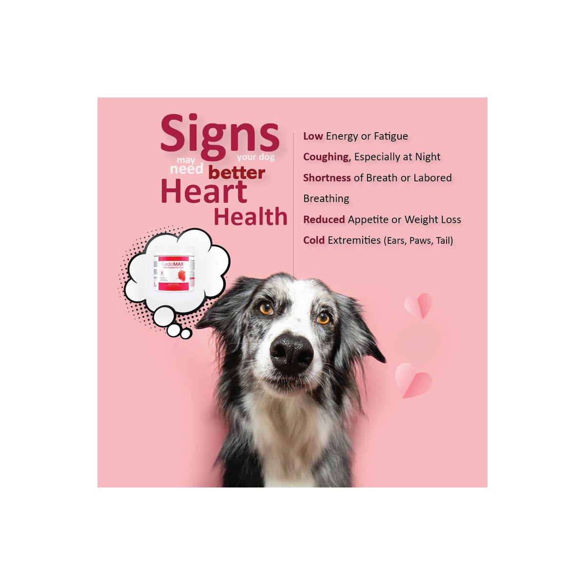 Heart Support Supplement for Dogs-Vet-Formulated, Antioxidant-Rich-L-Taurine, L-Carnitine,EPA,DHA,CoQ10-Aids Circulatory Strength, Cardiovascular Support, Heart Muscle Function-USA Made-60 Soft Chews