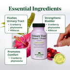 Urinary Tract Cleanse & Protect - Urinary Tract Health for Women, Cranberry Supplement for Women with Standardized Hibiscus, Daily Bladder Support Supplement, 60 Vegan Capsules