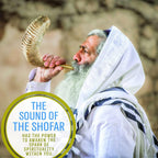 Buy now Holy Voice Kosher Ram Shofar Horn from Israel 12"-14" Traditional Half Polished, Holy Land Ancient Jewish Musical Instrument, Smooth Mouthpiece for Easy Blowing, Clear Sound Shofar at indiglob india