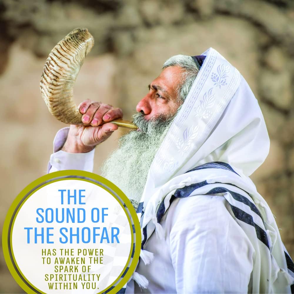 Buy now Holy Voice Kosher Ram Shofar Horn from Israel 12"-14" Traditional Half Polished, Holy Land Ancient Jewish Musical Instrument, Smooth Mouthpiece for Easy Blowing, Clear Sound Shofar at indiglob india