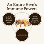 Buy now Comvita Bee Propolis Throat Spray - Natural Immune Support, Soothing Mint Flavor with New Zealand UMF 10+ Manuka Honey, Antioxidant, Dietary Supplement - 0.7 fl oz at indiglob india