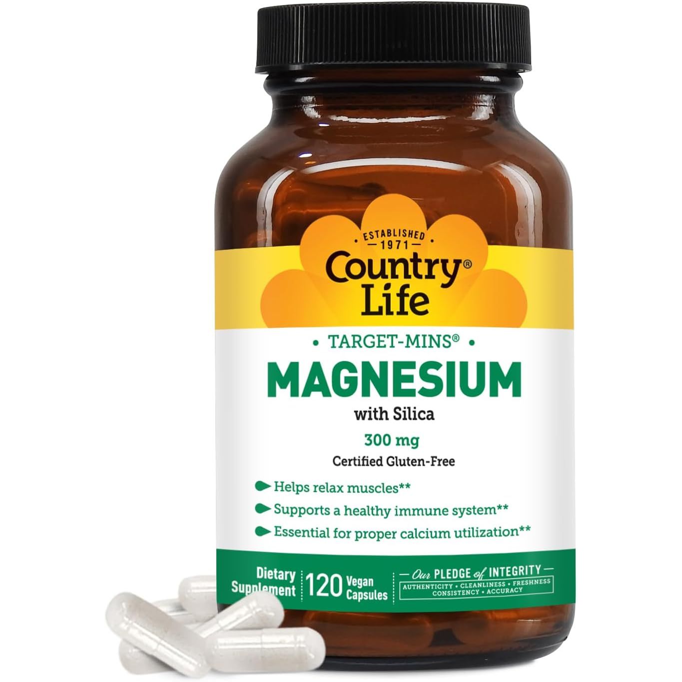 Buy now Target-Mins Magnesium with Silica 300mg, 60 Vegan Capsules, Certified Gluten Free, Certified Vegan 120 Count (Pack of 1) at indiglob india