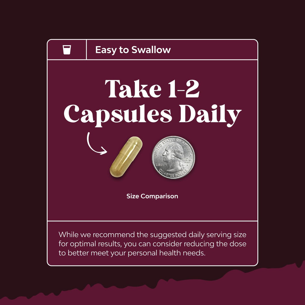 Advanced Kidney Cleanse Support - Cranberry Extract Capsules - 60 Count | Kidney Support Supplement - Uva Ursi, Stinging Nettle Leaf & Astragalus for Kidney Health - Urinary Tract Health Support