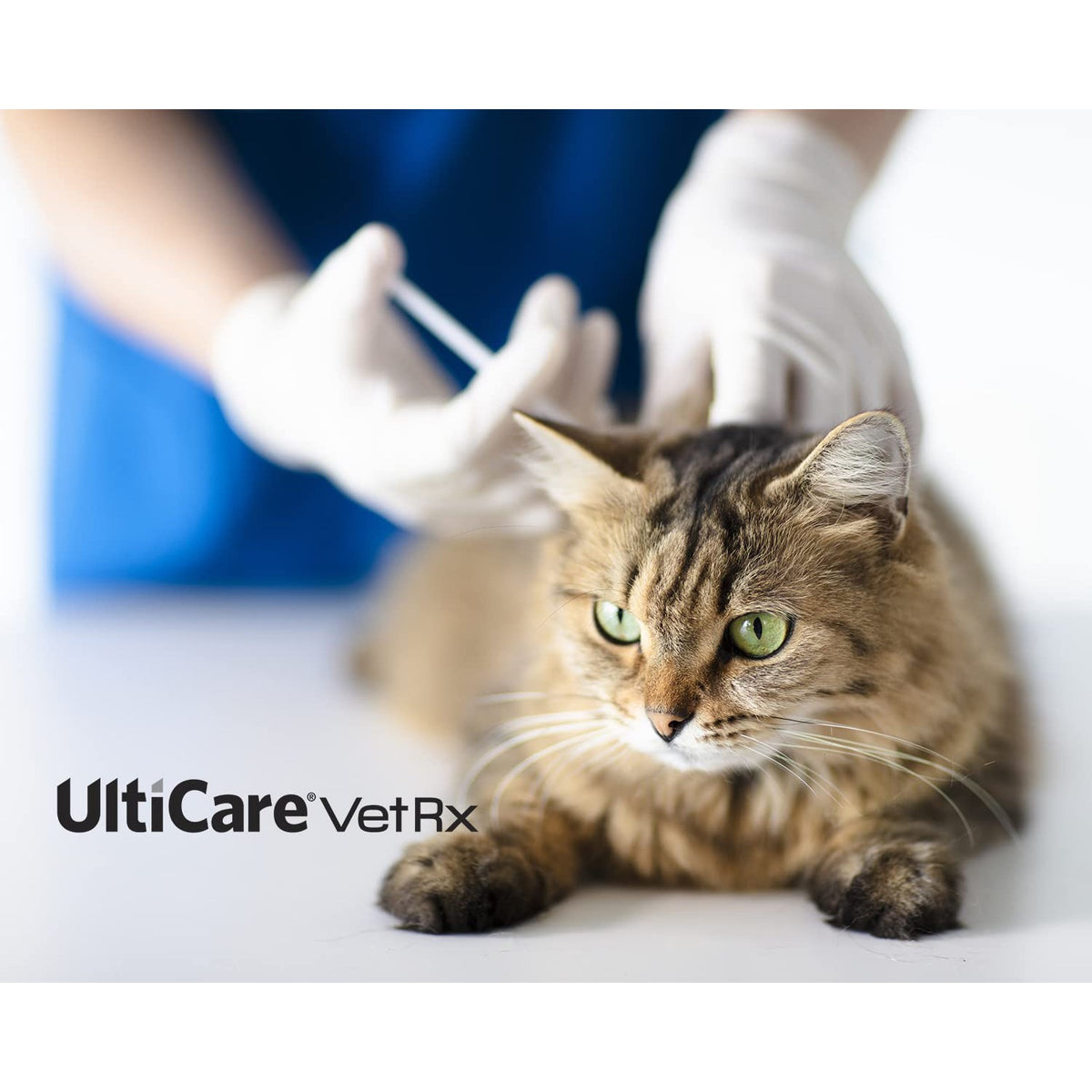 UltiCare VetRx U-100 Pet Insulin Syringes, 3/10cc, 31G x 5/16", 60 Ct