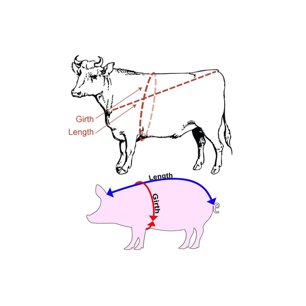 Buy now WIN TAPE Professional Cattle Weightband Weight & Height Tape Measure (Blue) at indiglob india