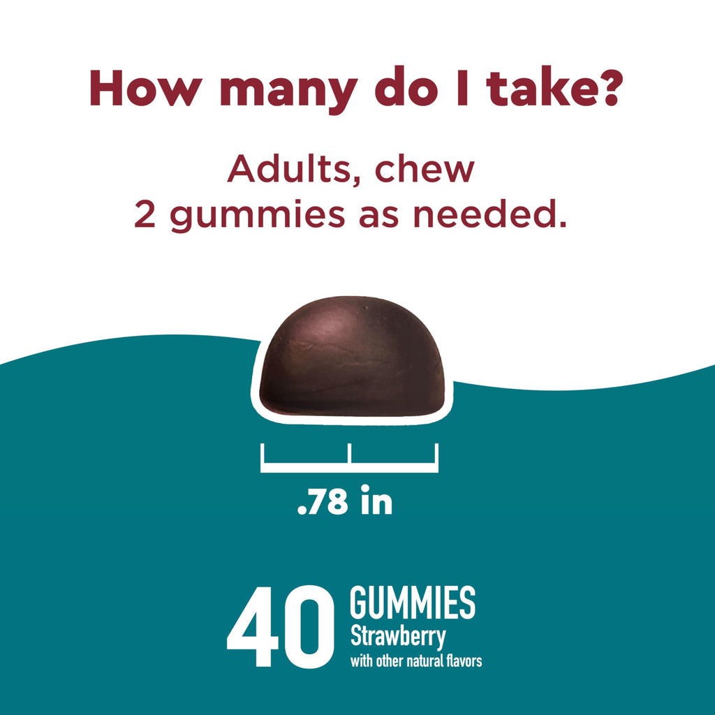Nature Made Wellblends Stress Relief Gummies, 40 Strawberry Flavor Gummies | L theanine 200mg to Help Reduce Stress, with GABA 100mg, Same Day Stress Support