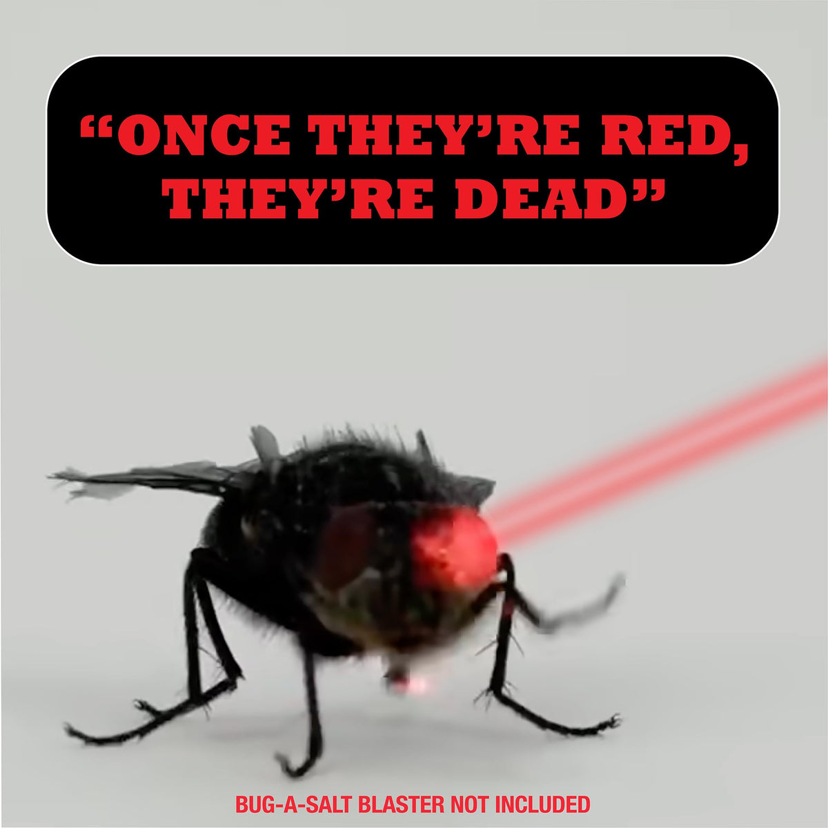 BUG-A-SALT Bug-Beam