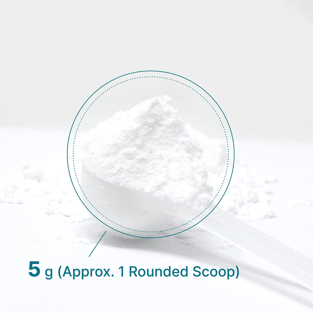 Micronized Creatine Monohydrate, 60 Servings, 5g Per Serving (300g/0.7lb) | Fast Absorbing & Unflavored | Supports Strength, Power & High-Intensity Training* | Vegan, Keto, Non-GMO