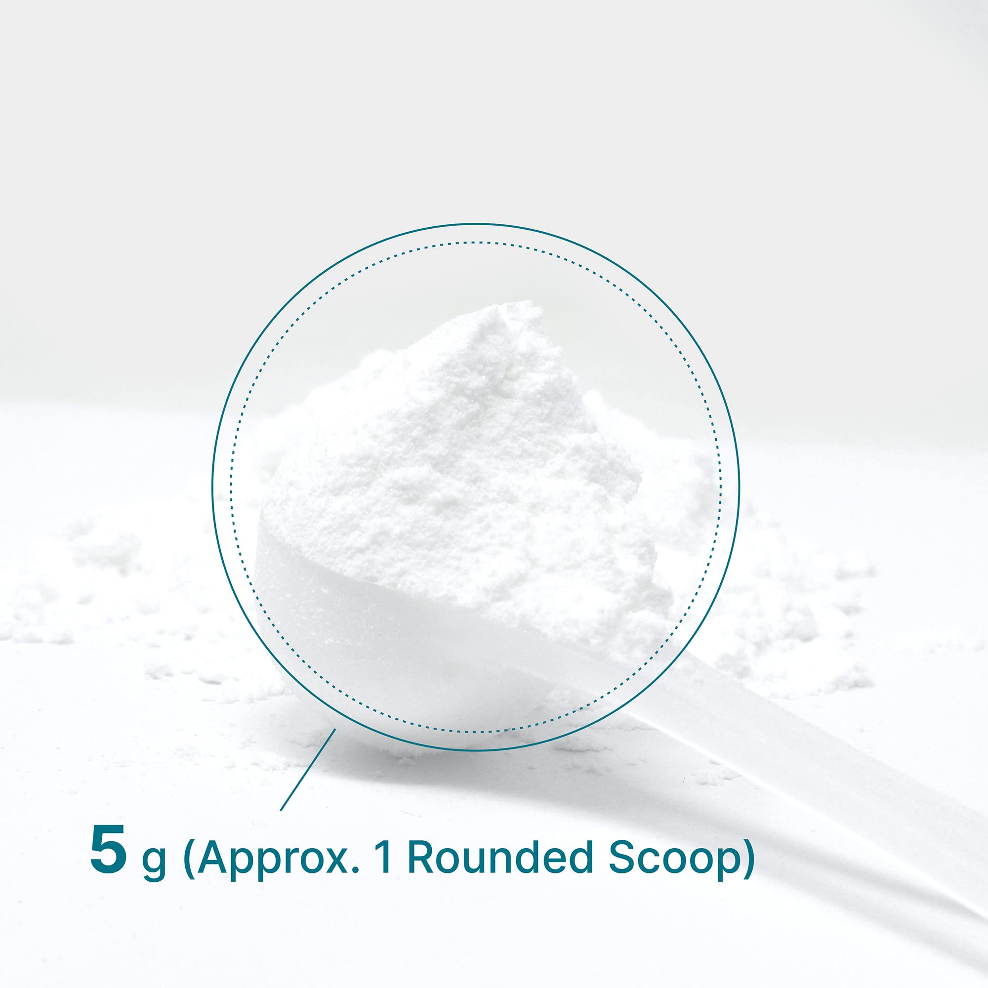 Micronized Creatine Monohydrate, 60 Servings, 5g Per Serving (300g/0.7lb) | Fast Absorbing & Unflavored | Supports Strength, Power & High-Intensity Training* | Vegan, Keto, Non-GMO