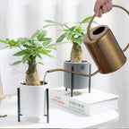 Yowon 1/2 Gallon 68oz Long Spout Stainless Steel Gold Colored Watering Can for Indoor Plant Watering or Outdoor Gardening with 2 Removable Spray Spout for Flowers