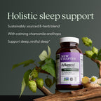 New Chapter Zyflamend Nighttime Sleep Aid, 60 Count