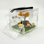 Jumping Spider Feeding Dish Set, Magnetic Water Bowl, Reptile Feeding Tongs, Jumping Spider Enclosure Accessories