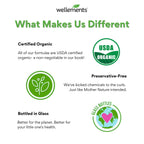 Wellements Organic Liquid Iron Drops for Infants & Toddlers Cherry 1 Fl Oz