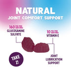 Joint Support Gummies - Glucosamine Plus Vitamin E Nature's Joint Support Supplement for Occasional Discomfort for Back, Knees & Hands - Cartilage & Joint Health & Flexibility Support - 120 Gummies