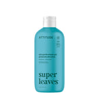 Buy now ATTITUDE Body Wash, EWG Verified Shower Gel, Dermatologically Tested, Plant and Mineral-Based, Vegan Personal Care Products, Pear & Amber Scent, 16 Fl Oz at indiglob india