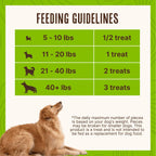 Waggin' Train Chicken Jerky Dog Treats, Made with 100% Real Chicken Breasts, Only Two All-Natural Ingredients, Great High Protein Dog Treat, Easily Digestible for Big or Small Dogs, 36 oz. Pouch