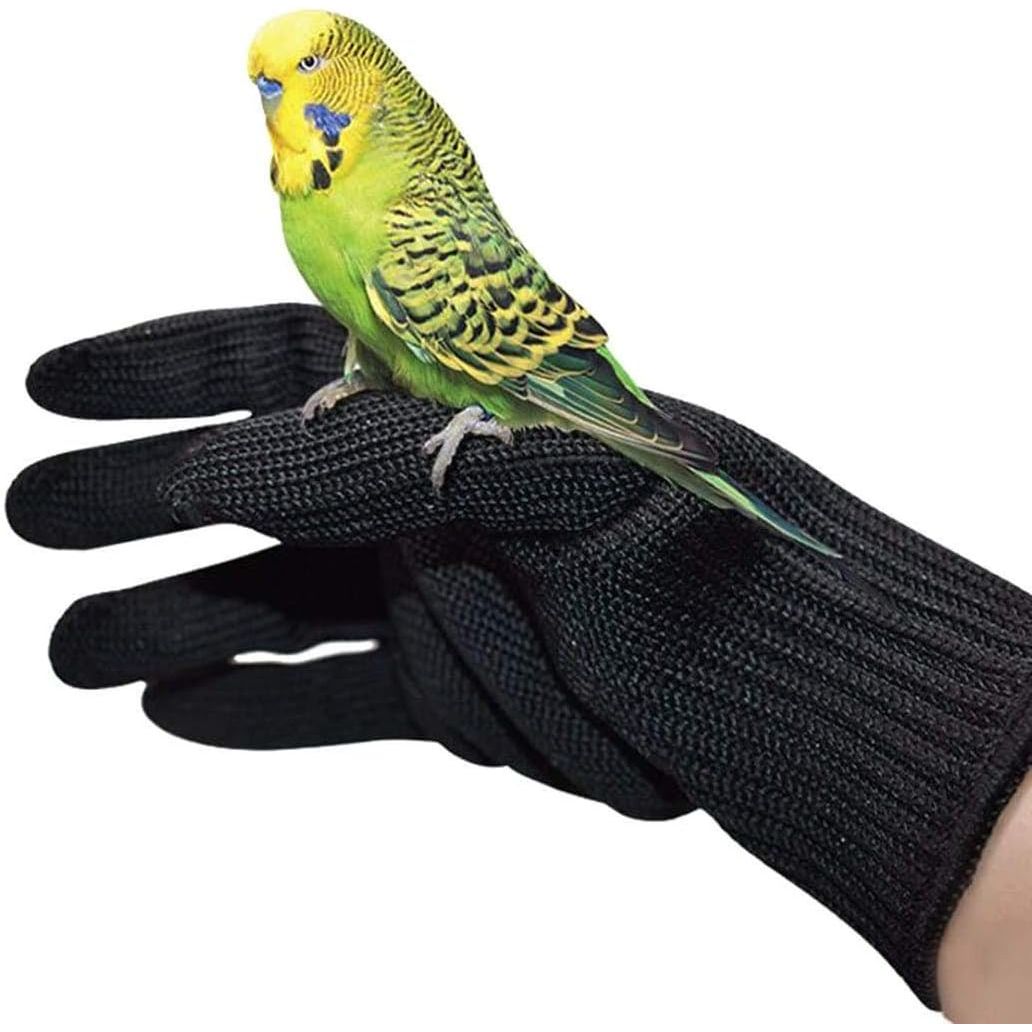 Buy now alfyng Bird Training Anti-Bite Parrot Chewing Protective Gloves, Small Animal Handling Gloves for Parrotlets Cockatiels Finch Macaw (1 Pair White) Black at indiglob india