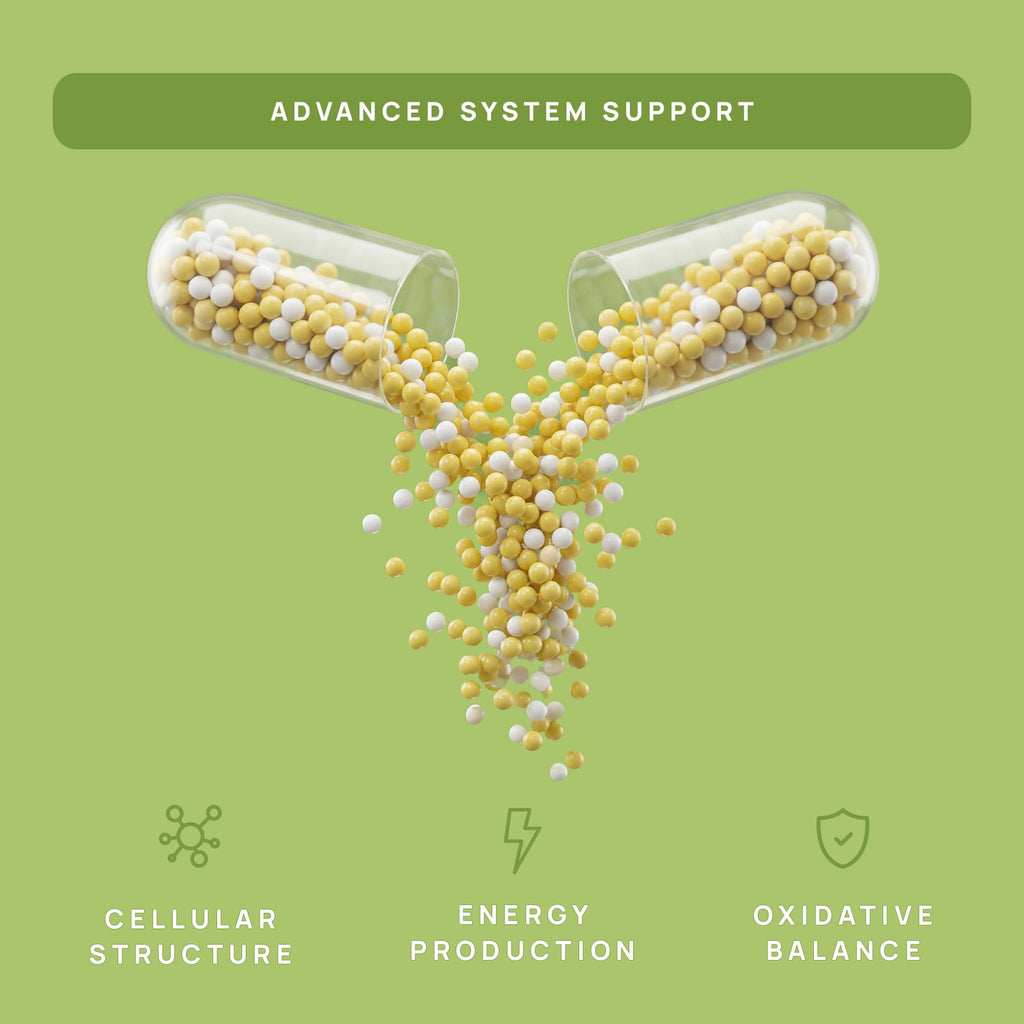 C15:0 Pentadecanoic Acid Supplement | Longevity, Cellular & Membrane Support, Micro-Granule Enhanced Absorption, Phosphatidylcholine, L-Carnitine, Ubiquinol CoQ10 & Tocotrienols – 120ct