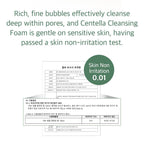mixsoon Centella Cleansing Foam Face Wash with Cica, Low pH Cleansing and Soothing for Face, Hydrating Formula 150ml / 5.07 fl. oz. Korean Glass Skin Care