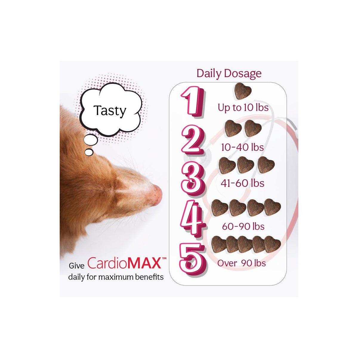 Heart Support Supplement for Dogs-Vet-Formulated, Antioxidant-Rich-L-Taurine, L-Carnitine,EPA,DHA,CoQ10-Aids Circulatory Strength, Cardiovascular Support, Heart Muscle Function-USA Made-60 Soft Chews