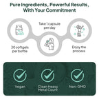 Organics Ocean Better D3 + K2-100% Organic VIT D3 and K2 Supplements with Maximum Bioavailability - Supports Bone Density, Calcium Balance, Immunity & Mood - 3-Pack, 90-Day Supply