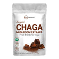 Micro Ingredients Organic Chaga Mushroom Extract, 10 oz | 100:1 Wild Harvested | Supports Immune & Antioxidant Defense | Great for Tea & Smoothies | Non-GMO, Vegan Friendly