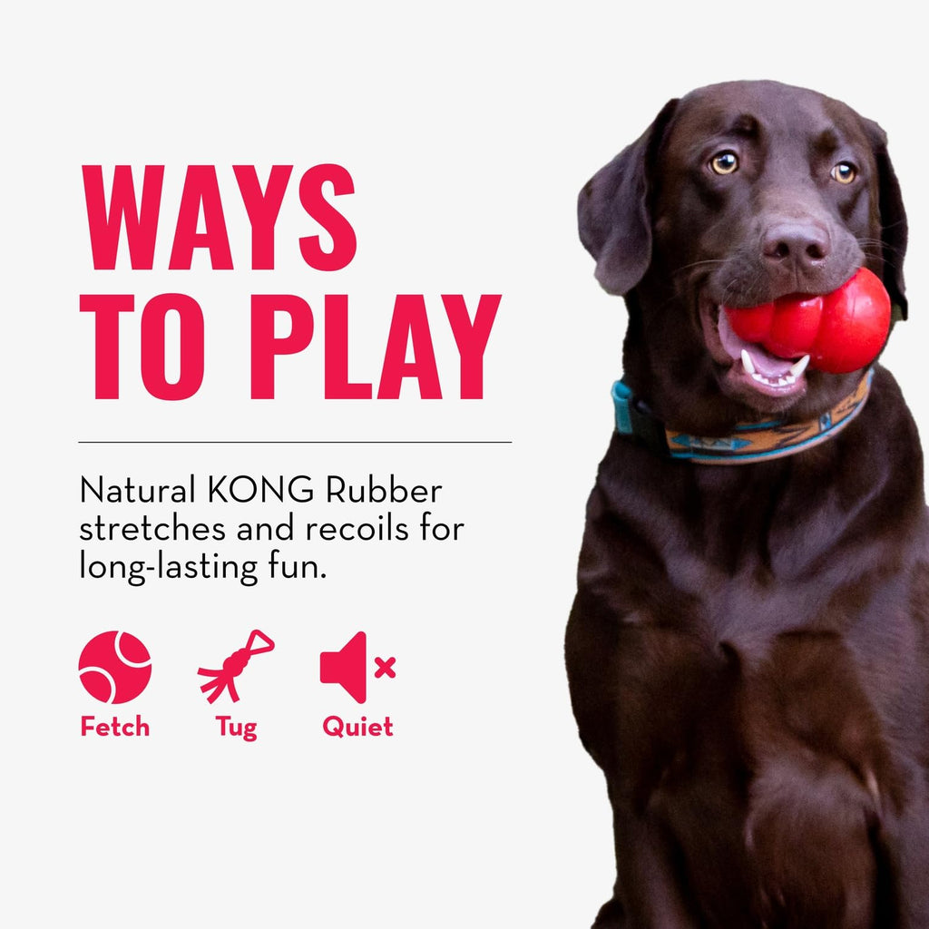 KONG Tug Toy, Natural Rubber Dog Toy for Tug of War, for Medium/Large Dogs