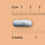 Amazon Basics Zinc Capsules, 50 mg, 200 Count