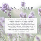 Buy now Le BlancÂ® Lavender Single Pack Dryer Sachet - Luxury Scented Fabric Sachet for Your Dryer (1 Pack) at indiglob india