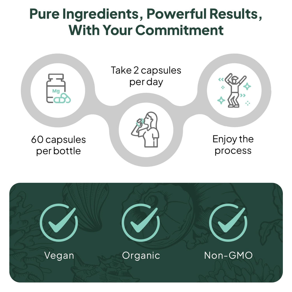 Organics Ocean Better Calcium - Organic Red Algae Calcium with Vitamin D3 and K2 Supplements - Supports Bone Structure, Joint Comfort & Encourages Healthy Aging - Plant-Based, Non-GMO - 6 Pack
