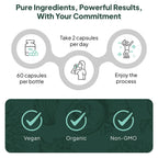 Organics Ocean Better Calcium - Organic Red Algae Calcium with Vitamin D3 and K2 Supplements - Supports Bone Structure, Joint Comfort & Encourages Healthy Aging - Plant-Based, Non-GMO - 6 Pack
