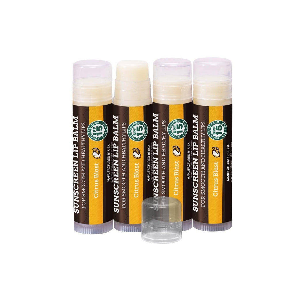 Buy now Earth's Daughter USDA Organic Lip Balm 6-Pack - Fruit Flavors, Beeswax, Coconut Oil, Vitamin E - Best Lip Repair Chapstick for Dry Cracked Lips - Moisturizing Lip Care at indiglob india