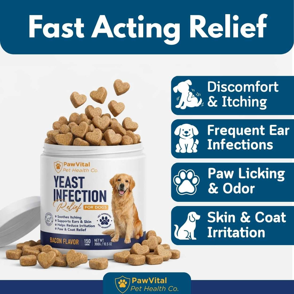 Natural Yeast Infection Treatment for Dogs, 150 Chews – Anti Yeast Support for Itchy Skin & Ears – Helps Reduce Irritation & Paw Licking – Probiotic + Herbal Blend – Bacon Flavored Soft Chews
