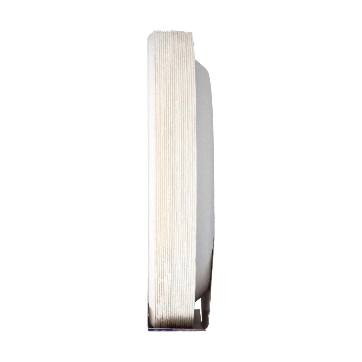 Repurpose Compostable 9 Inch Plates 20 Count, 20 CT