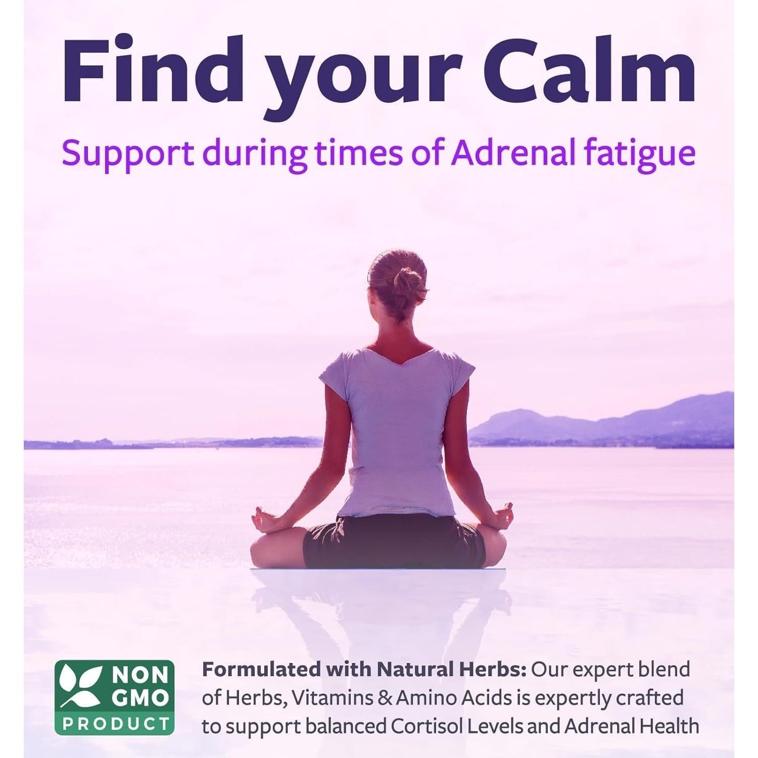 Buy now Adrenal System Support & Cortisol Manager (2 Month Supply) Powerful Ashwagandha & L-Tyrosine Fatigue Supplement - Maintain Balanced Cortisol Levels, Health, & Stress Relief - Non-GMO - 60 Capsules at indiglob india