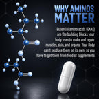 NAUTILUS Muscle Code Essential Amino Acid Capsules – Muscle Synthesis & Repair & Strength – Unflavored – 60 Servings – Clinically Studied – 0g Sugar, Keto, Vegan, Gluten Free, Dairy Free